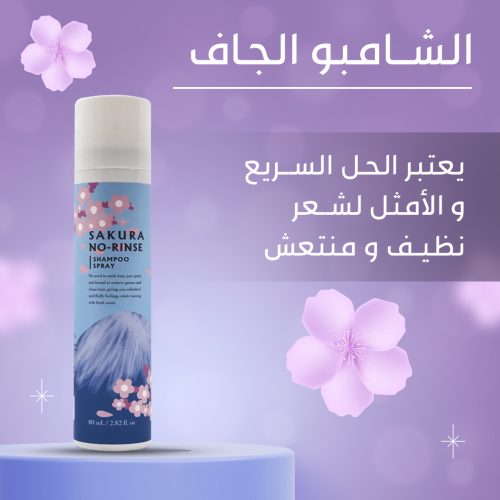 Dry shampoo spray AR 1